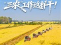 一组关键词看开局之年“三农”工作这样干！
