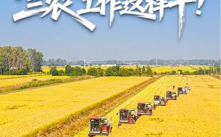 一组关键词看开局之年“三农”工作这样干！